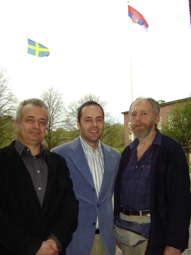 Наши професори у Шведској